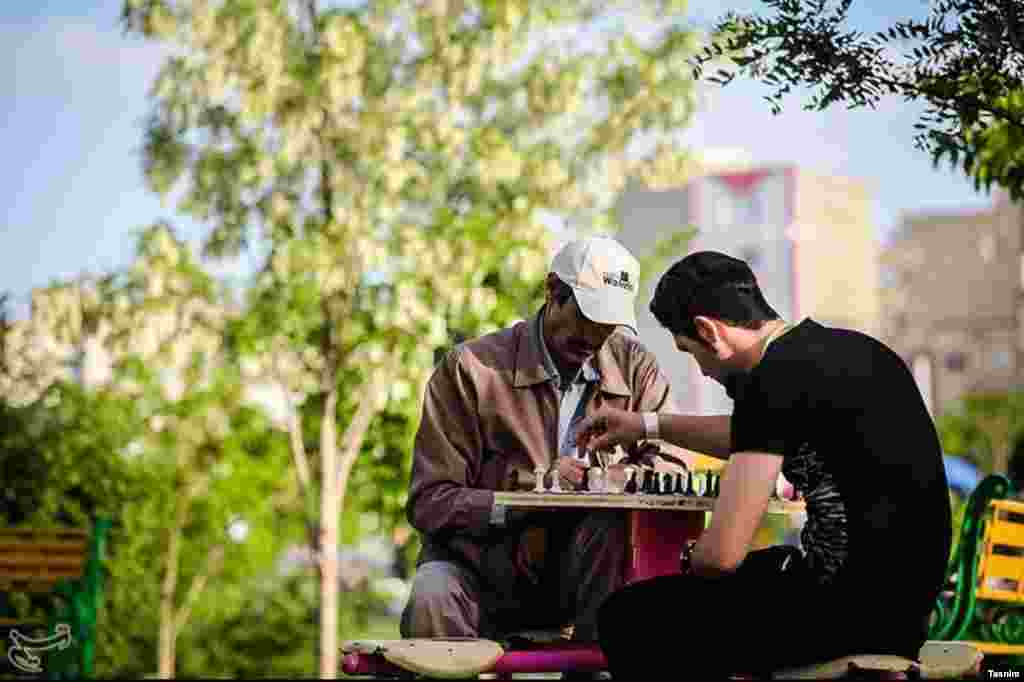 هوای خوب بهاری و شطرنج پیر و جوان در یکی از پارکهای تهران&nbsp; عکس: خلیل غلامی 