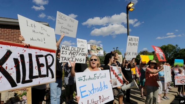 Manifestantes protestan frente a la casa del Dr. Walter James Palmer, quien presuntamente cazó y mató al león Cecil.