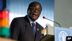 Zimbabwean President Robert Mugabe delivers his speech at the United Nations Food and Agriculture Organization FAO headquarters during a World Summit on Food Security, in Rome, Tuesday, Nov. 17, 2009. (AP Photo/Alessandra Tarantino, pool)