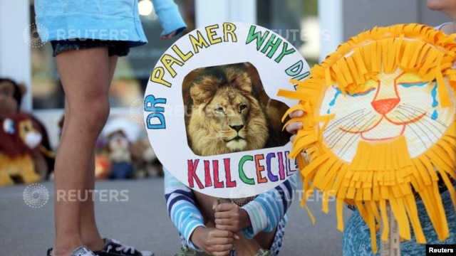 Manifestantes afuera del consultorio de Palmer cuestionan las acciones del doctor.