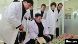 FILE - North Korean leader Kim Jong Un (C) provides field guidance at Kumkop General Foodstuff Factory for Sportspersons in this undated photo released by North Korea's Korean Central News Agency (KCNA) in Pyongyang, Jan. 8, 2015. 