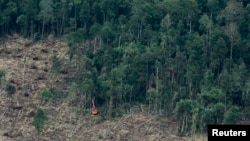 FILE - An excavator clears a forest in Indonesia's South Sumatra province, Oct. 16, 2010. Indigenous Indonesians are demanding the return of some 8.2 million hectares of forest land some of which they say are threatened by external commercial activity.