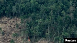 FILE - An excavator clears a forest in Indonesia's South Sumatra province, Oct. 16, 2010.