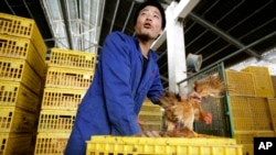 A worker unloads a chicken from a container at a wholesale market on April 3, 2013, in Shanghai, China.