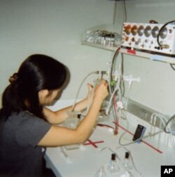 A research associate at Davis' lab prepares the series of tubes for the flies' olfactory memory training.