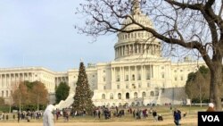 Isihlahla seKhisimusi edolobheni le Washington DC