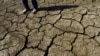 EE.UU.:se agudiza sequía en zonas agrícolas