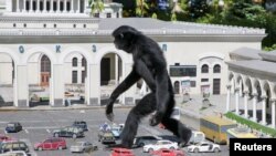 A gibbon walks amid models of vehicles at a zoo in the park of miniatures in Bakhchisaray, Crimea.