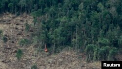 FILE - An excavator clears a forest in Indonesia's South Sumatra province.