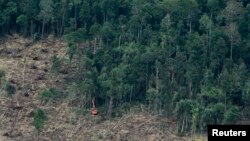 FILE - An excavator clears a forest in Indonesia's South Sumatra province, Oct. 16, 2010. Indigenous Indonesians are demanding the return of some 8.2 million hectares of forest land some of which they say are threatened by external commercial activity.