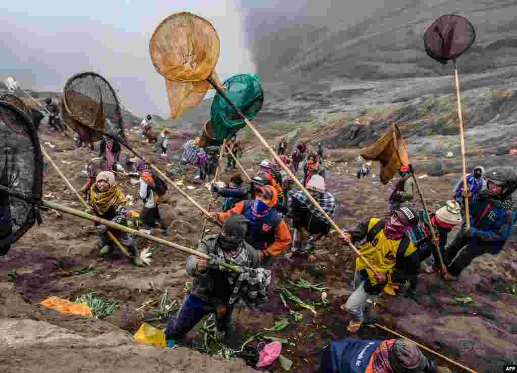 People try to catch offerings thrown off the summit of Mount Bromo volcano by Tengger tribe members and local tourists in Probolinggo, East Java province, Indonesia, as part of the Yadnya Kasada Festival.