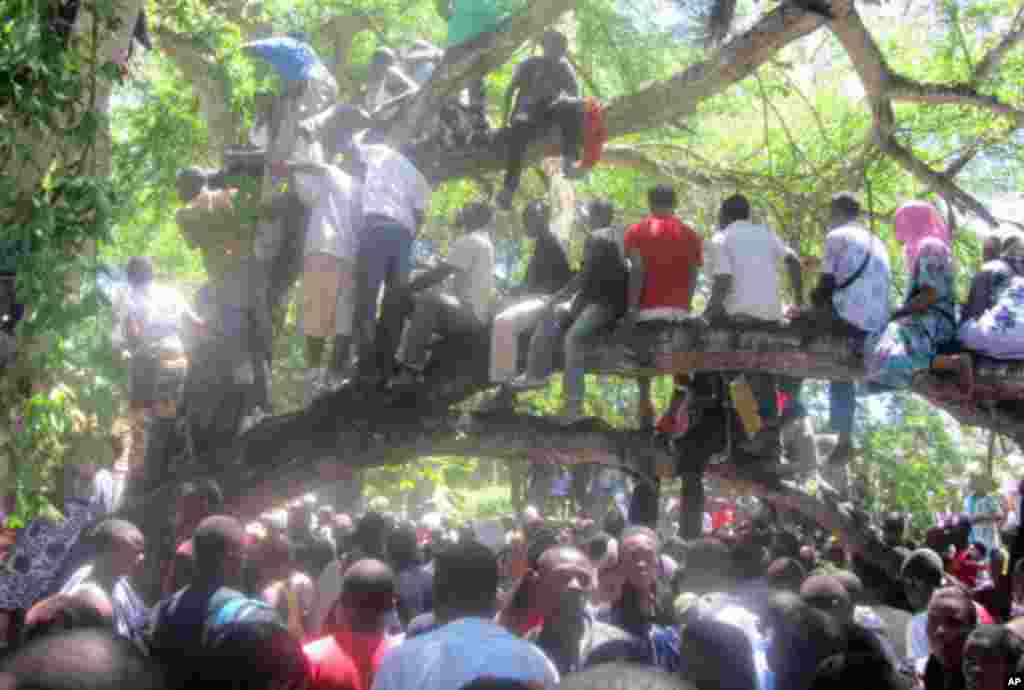 Waombolezi walopanda kwenye miti kumwaga msani Kanumba