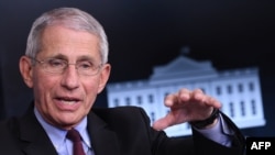 FILE - Director of the National Institute of Allergy and Infectious Diseases Anthony Fauci speaks during briefing at the White House, Apr. 5, 2020. 