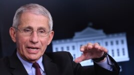 In this file photo, Director of the National Institute of Allergy and Infectious Diseases Anthony Fauci speaks during an unscheduled briefing after a Coronavirus Task Force meeting at the White House on April 5, 2020, in Washington.