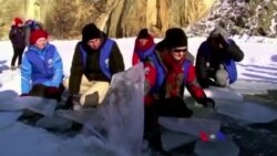 ထူးခြားဆန်းပြားသတင်းများ