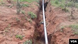 Hujiin Bisaan Gujii Bahaa Tirachaa Deemumatti Jirti