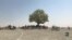 Чому кожного року десятки тисяч людей їдуть на фестиваль Burning Man. Відео
