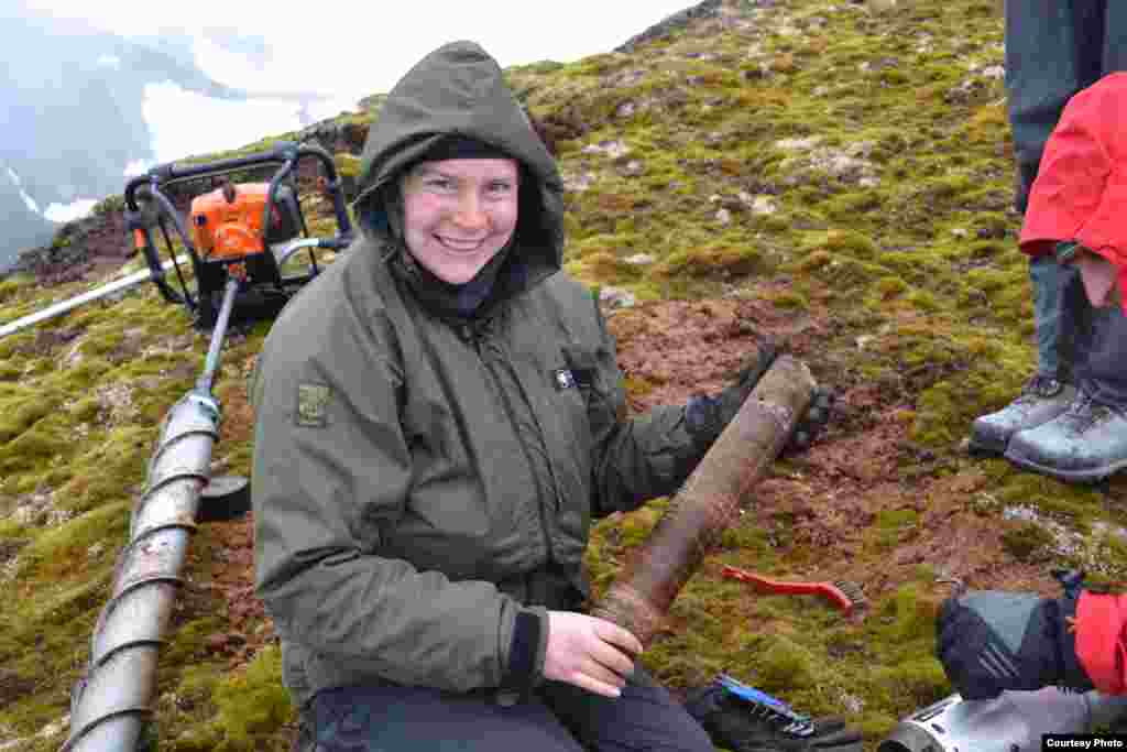 Muestras de musgo congelado de más de 500 años de la isla Elefante en las Shetland del Sur. (Dan Charman/Matt Amesbury) 