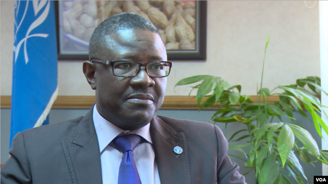 Patrick Kormawa, head of the U.N. Food and Agricultural Organization (FAO) in southern Africa, pictured here in Harare, Zimbabwe, Nov. 12, 2018, says depending on rain-fed agriculture on the continent is not a good idea anymore. (C. Mavhunga/VOA)