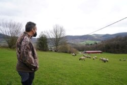 FILE - Hunter and sheep farmer Isaac Ruiz Olazabal observes his flock of sheep in Karrantza, Spain, Feb. 10, 2021.