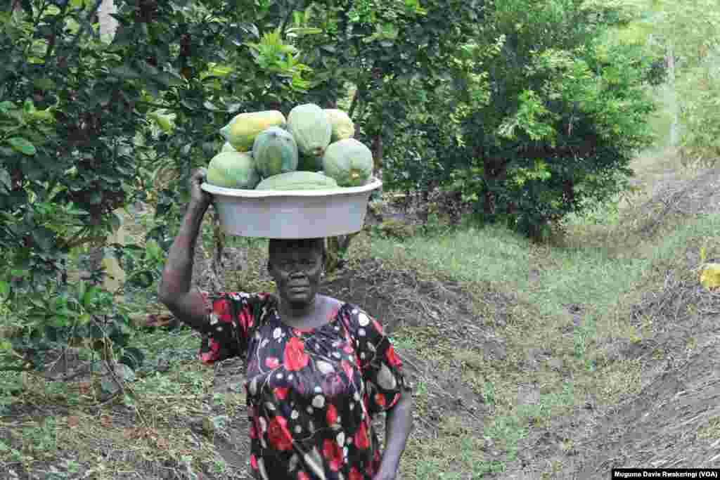 Catherine Joan carries a basin piled high with fresh produce that she bought at Sebit Amusa Tongun's smallholder farm near Juba.