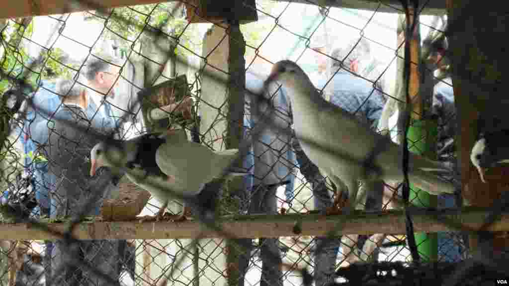 Artileriya atəşi ilə dağıdılmış ev