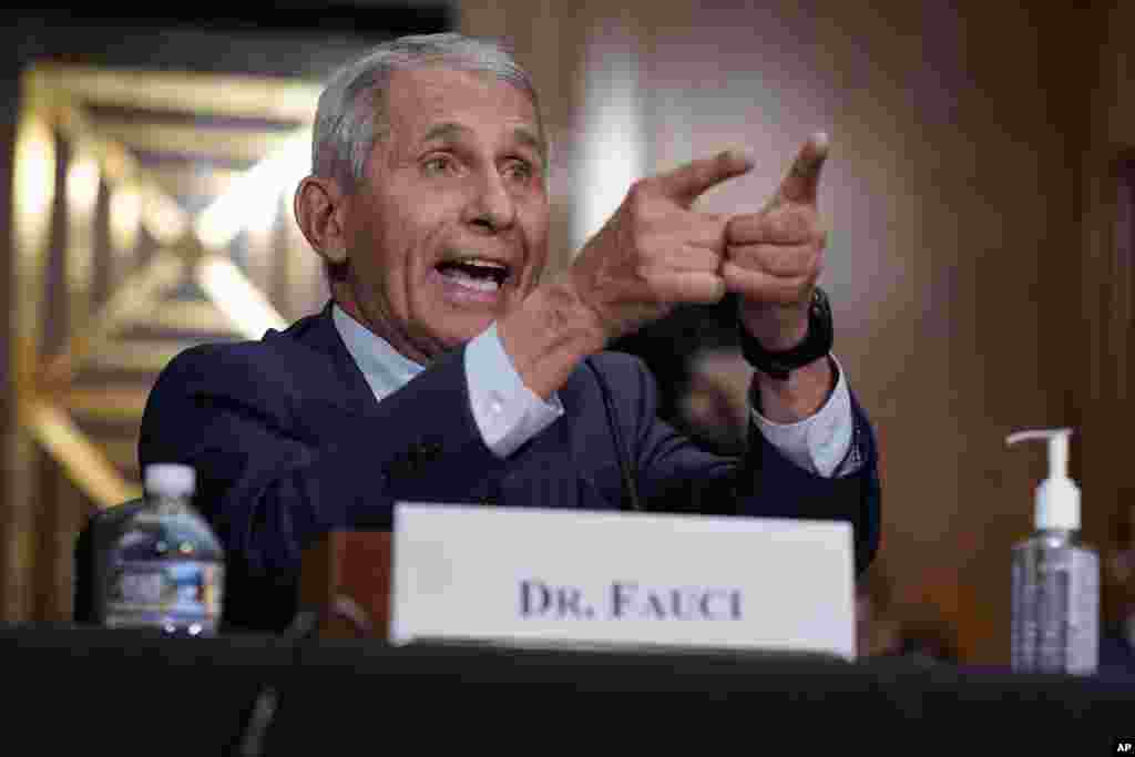 Top infectious disease expert Dr. Anthony Fauci responds to accusations by Sen. Rand Paul, R-Ky., as he testifies before the Senate Health, Education, Labor, and Pensions Committee about the origin of COVID-19, on Capitol Hill in Washington.