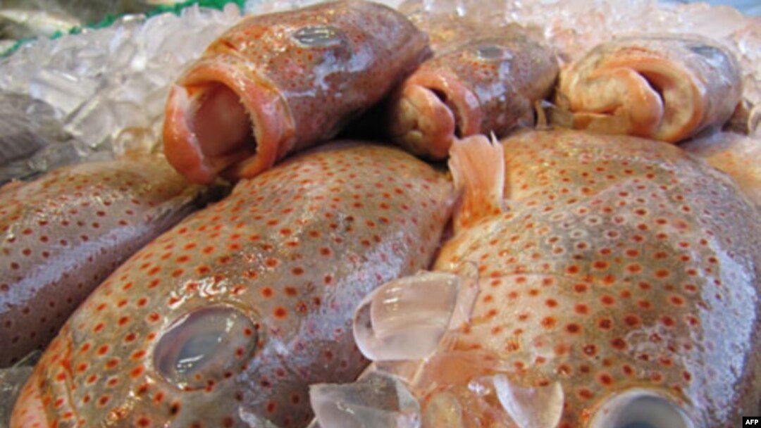 Người Mỹ đi chợ trong các siêu thị có thể sẽ không cảm nhận những ảnh hưởng của vụ dầu loang trong vịnh Mexico