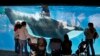 Activists Say Ending SeaWorld's Orca Shows Not Enough
