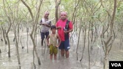 বারো বছর আগে যে সব চারা লাগানো হয়েছিল, এখন সেগুলো অনেক বড়। ঝড় আটকানোর ক্ষমতা হয়েছে। তার মাঝখানে ছেলে আর ভাইয়ের সঙ্গে ম্যানগ্রোভ ম্যান