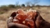 FILE - A farmer carries collected gum arabic from an Acacia tree in the western Sudanese town of El-Nahud that lies in the main farming state of North Kordofan Dec. 18, 2012.