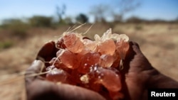 FILE - A farmer carries collected gum arabic from an Acacia tree in the western Sudanese town of El-Nahud that lies in the main farming state of North Kordofan Dec. 18, 2012.