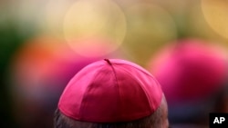 Comisión del Vaticano que investiga abusos sexuales a menores aseguró que las leyes actuales de la iglesia pueden responsabilizar a los obispos si no protegen a los niños.