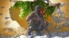 SOMALIA: Al-Shabab ta Kashe Sojojin Kungiyar Kasashen Afirka