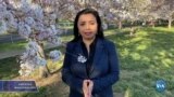 Amerika Manzaralari: Demokratiya, Afg'oniston, uyg'urlar