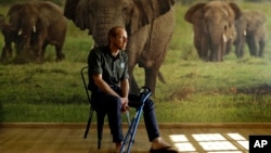 In this photo taken May 23, 2016, Erik Mararv, the manager of the Garamba National Park in Congo, is photographed against a poster backdrop of elephants during an interview with The Associated Press in Johannesburg, while recuperating from his injuries.