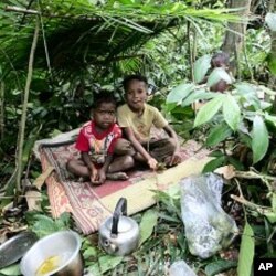 Children from the Batek tribe play in the jungle near their village next to the entrance of Kuala Koh National Park in the northeastern Peninsular Malaysia state of Kelantan. (File Photo)