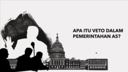 Apa Definisi Veto Dalam Pemerintah AS?