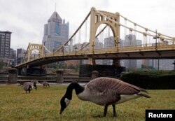 The Roberto Clement Bridge is seen spanning the Allegheny River near downtown Pittsburgh, September 22, 2009. The G20 summit will be held in Pittsburgh September 24 and 25. REUTERS/Jim Young (UNITED STATES POLITICS BUSINESS) - RTR285PO