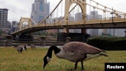 Vue de la rivière Allegheny près du centre de Pittsburgh