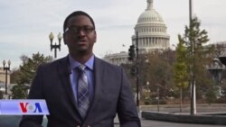 Correspondants VOA du 14 novembre 2018