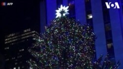 Pohon Natal di Kota-Kota Besar Dunia