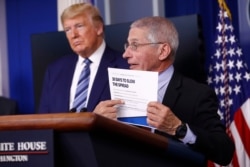 FILE - President Trump listens as Director of the National Institute of Allergy and Infectious Diseases Dr. Anthony Fauci speaks during a coronavirus task force briefing at the White House, April 5, 2020, in Washington.