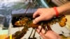 Фирмы из США продают в Китай меньше омаров