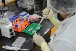FILE - A research scientist works inside a laboratory of India's Serum Institute, the world's largest maker of vaccines, which is working on vaccines against COVID-19 in Pune, India, May 18, 2020.