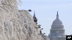 U.S. Capitol Building