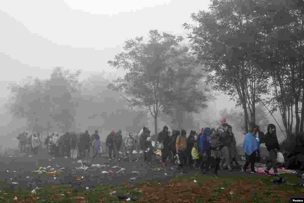 Para migran menyusuri lapangan di kota Berkasovo, Serbia untuk menuju ke perbatasan menuju Kroasia.