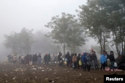 Di dân đi bộ băng qua một cánh đồng để vượt biên giới Croatia, gần làng Berkasovo ở Serbia, ngày 23/10/2015.
