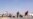 Death Toll from Libyan Clashes Rises to 31, Doctor Says