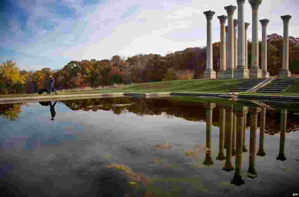 Seorang pria membawa anjingnya berjalan-jalan melewati&nbsp;National Capitol Columns di&nbsp;US National Arboretum di&nbsp;Washington, DC. Tempat ini awalnya dibangun sebagai bagian dari&nbsp;serambi timur gedung Capitol pada tahun&nbsp;1828, sebelum kubah&nbsp;Capitol selesai dibangun. Ke-duapuluhdua kolom tersebut diletakkan di padang rumput, yang dikenal dengan Padang Rumput&nbsp;Ellipse. 